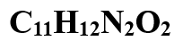 fzs.jpg